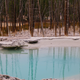 Illustration for article titled Photodump: Yellowstone National Park